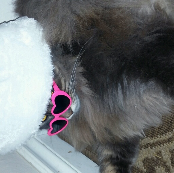 Meet your Posher, Benjamin - Picture 1 of 1